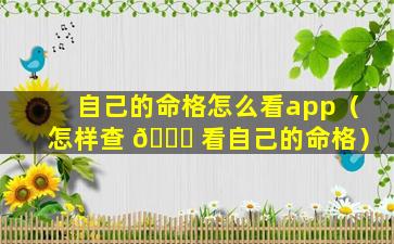 自己的命格怎么看app（怎样查 🍀 看自己的命格）